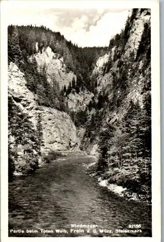 58938 - Steiermark - Frein , an der Mürz , Windmauer , Partie beim Toten Weib , Totes Weib - gelaufen