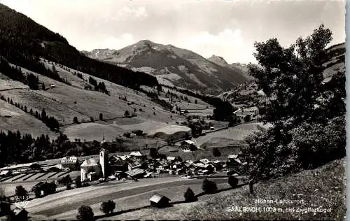 58943 - Salzburg - Saalbach , mit Zwölferkogel , Panorama - gelaufen