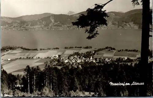 58965 - Oberösterreich - Nussdorf , am Attersee , Panorama - gelaufen 1964