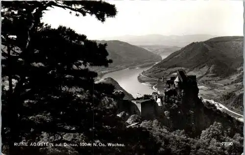 58971 - Niederösterreich - Aggstein , Ruine Aggstein an der Donau , Wachau - gelaufen 1961