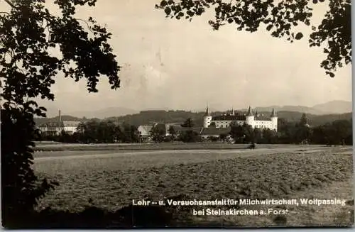 58972 - Niederösterreich - Wolfpassing , Steinakirchen Forst , Lehr- u. Versuchsanstalt für Milchwirtschaft - 1948