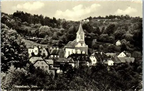 58983 - Steiermark - Nestelbach , Panorama - gelaufen 1962