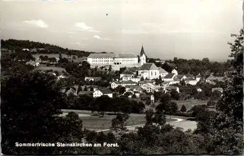 58999 - Niederösterreich - Steinakirchen am Forst , Panorama - gelaufen