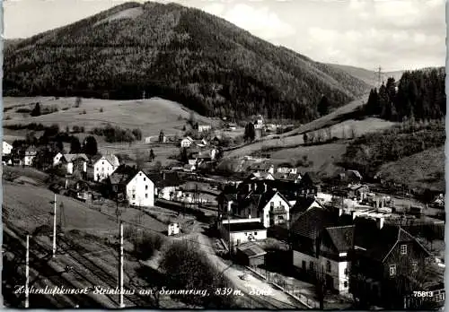 59024 - Steiermark - Steinhaus am Semmering , Panorama - gelaufen 1966