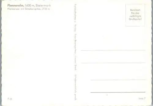 59106 - Steiermark - Donnersbach , Planneralm mit Schoberspitze - nicht gelaufen