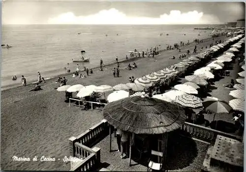 59135 - Italien - Marina di Cecina , Spiaggia , Strand , Beach , Plage - gelaufen 1961