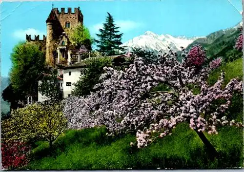 59138 - Italien - Meran , Castello Fontana e Cima Tessa , Brunnenburg mit Zielspitze - gelaufen 1965