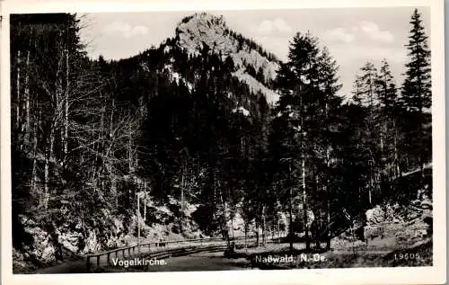 59160 - Niederösterreich - Naßwald , Vogelkirche - gelaufen 1956