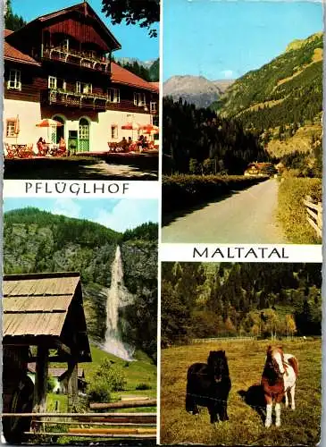 59197 - Kärnten - Maltatal , Alpenhotel Pflüglhof - gelaufen 1963