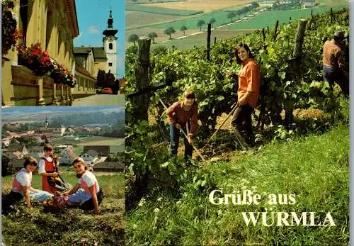 59209 - Niederösterreich - Würmla , Weinbau , Mehrbilkarte - gelaufen 1993