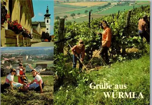 59299 - Niederösterreich - Würmla , Weinbau , Mehrbilkarte - gelaufen 1989