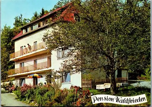 59440 - Steiermark - Lassnitzhöhe , Pension Waldfrieden - gelaufen