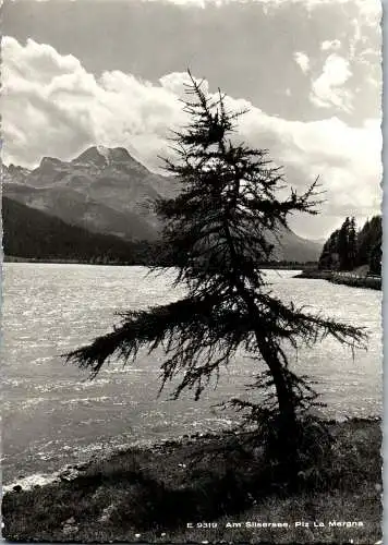 59458 - Schweiz - Sils , Silsersee , Piz la Margna  - gelaufen 1962