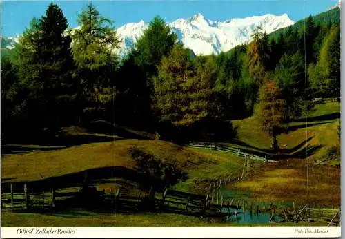 59484 - Tirol - Matrei , Zedlacher Paradies , Malhamgruppe - gelaufen 1991