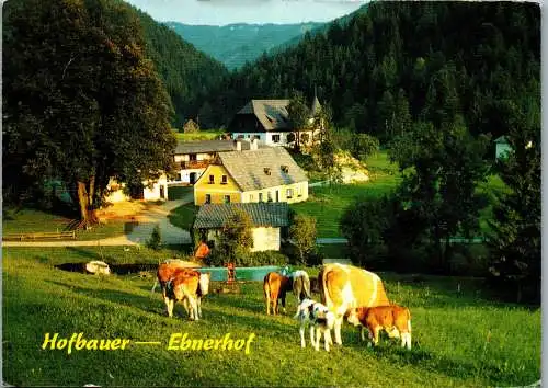 59506 - Niederösterreich - Türnitz , Hofbauer , Ebnerhof , Familie Franz und Elisabeth Anzberger - gelaufen 1992