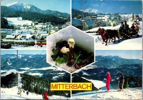 59569 - Niederösterreich - Mitterbach , am Erlaufsee , Ötscher , Blick v. Gemeindealpe , Winter - gelaufen 1988