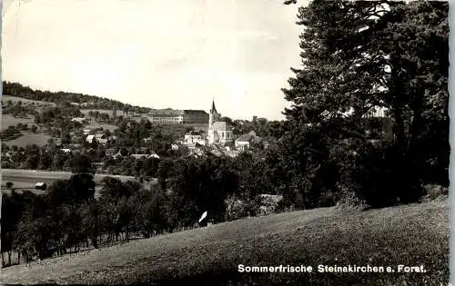 59623 - Niederösterreich - Steinakirchen , am Forst , Panorama - gelaufen