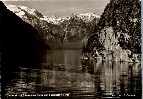 59652 - Deutschland - Königssee , mit Steinernem Meer und Falkensteinwand - gelaufen 1962