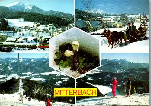 59694 - Niederösterreich - Mitterbach , am Erlaufsee , Gemeindealpe , Ötscher , Mehrbildkarte - gelaufen 1993