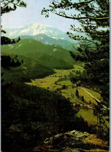 59702 - Niederösterreich - Schneeberg , Blick auf den Schneeberg - nicht gelaufen