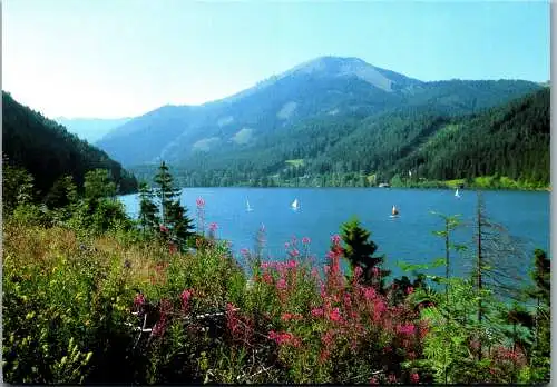 59713 - Steiermark - Mariazell , Erlaufsee , Panorama - gelaufen 2000