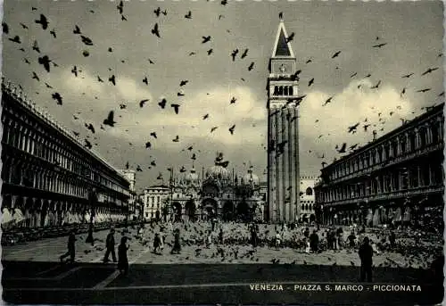 59740 - Italien - Venedig , Piazza S. Marco , Piccionata , Taubenflug - gelaufen 1954