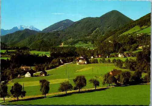 59818 - Steiermark - Palfau , Blick zum Buchstein - gelaufen 1986