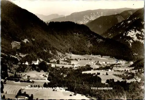 59830 - Steiermark - Palfau , Sommerfrische , Panorama - gelaufen 1976