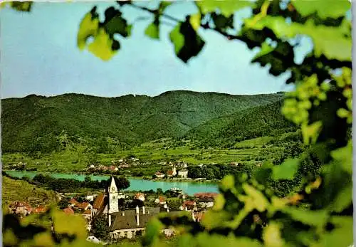 59851 - Niederösterreich - Spitz an der Donau , Blick gegen Arnsdorf , Wachau - gelaufen 1981