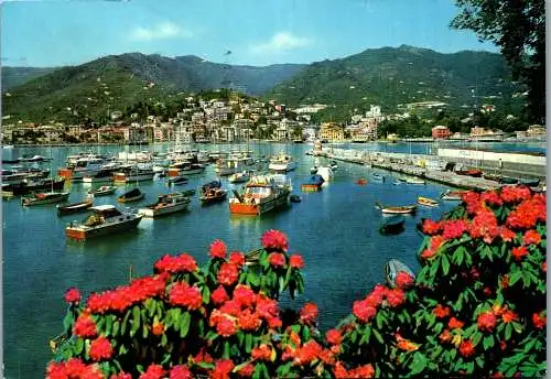 59861 - Italien - Rapallo , Il Porto , Hafen - gelaufen 1969