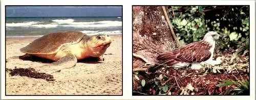 59914 - Sammelkarten - Panini , Sticker , WWF Schutz der Tierwelt