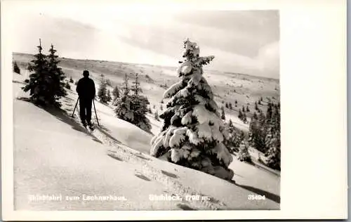 59974 - Steiermark - Stuhleck , Skiabfahrt zum Lechnerhaus , Winter , Ski - nicht gelaufen