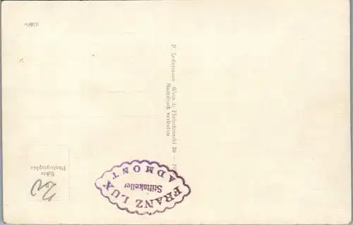 60125 - Steiermark - Admont , Großer Phyrgas , Scheiblingstein , Panorama - nicht gelaufen 1935