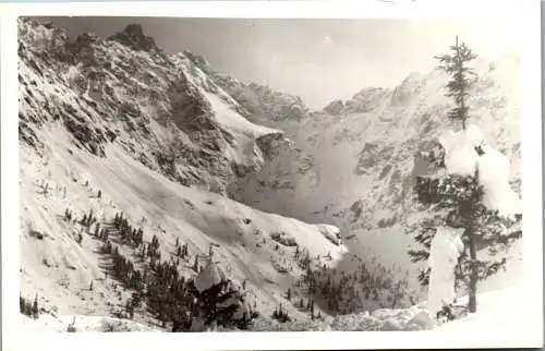 60128 - Polen - Zakopane , Tatra , Panorama - nicht gelaufen