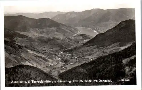 60130 - Niederösterreich - Jauerling , Ausblick von der Theresienhütte am Jauerling , Blick in's Donautal - 1955