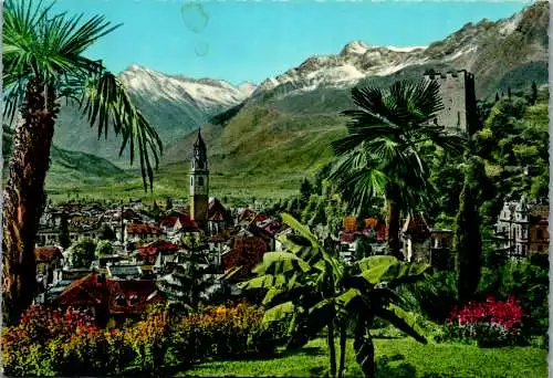 60182 - Italien - Meran , Merano , Panorama - nicht gelaufen 1968