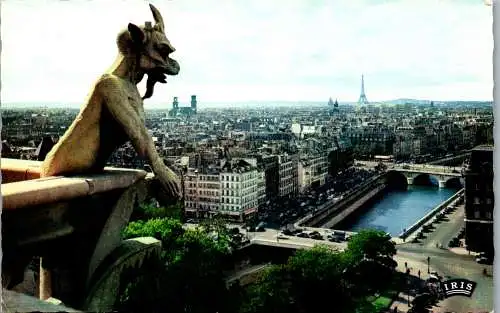 60328 - Frankreich - Paris , Le Diable vue des Tours de Notre Dame - nicht gelaufen