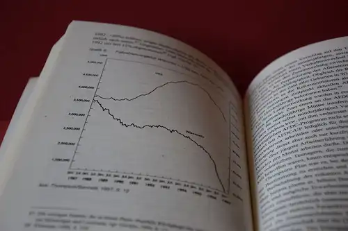 Uwe Wilke: Sozialhilfe in den USA. Die Reform in Texas und Wisconsin. 