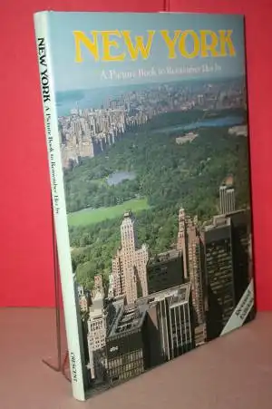 New York -  A Picture Book To Remember Her By. 