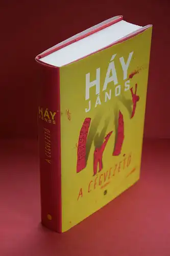 Háy János: A cégvezeto. 