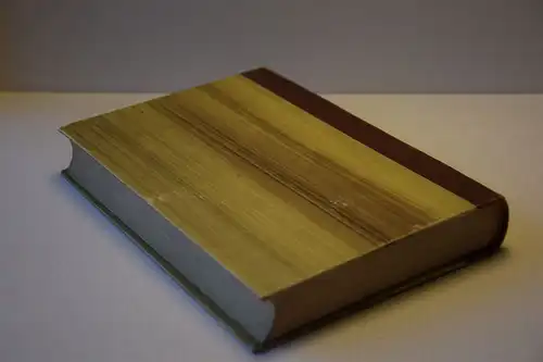 Wilhelm von Kügelgen: Jugenderinnerungen eines alten Mannes. 