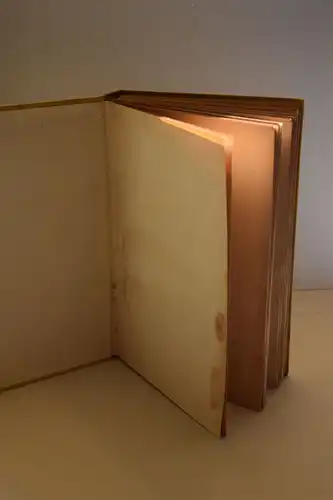 Strindberg, August: Briefe an Emil Schering. [Strindbergs Werke; Deutsche Gesamtausgabe; Abteilung: Briefe, Bd. 43.]. 