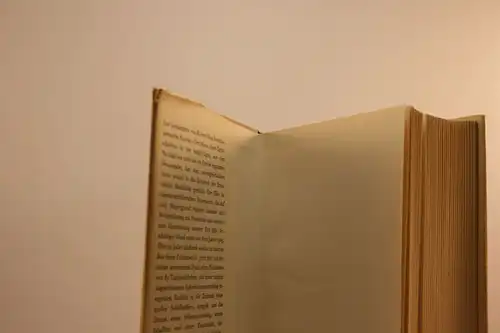 Robert Musil: Tagebücher, Aphorismen, Essays und Reden. [Gesammelte Werke in Einzelausgaben, Bd. 2;  hrsg. v. A. Frisé.]. 