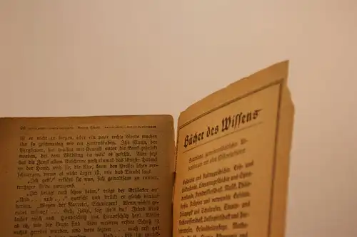 Anton Schott: Die Schwestern. [Kürschners Bücherschatz]. 