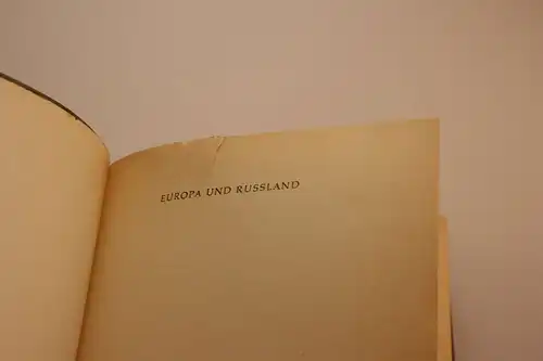 Dmitrij Tschizewskij / Dieter Groh [Hrsg.]: Europa und Russland. Texte zum Problem des westeuropäischen und Russischen Selbstverständnisses. 