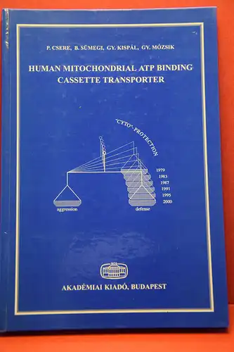 P. Csere; B.  Sümegi; Gy. Kispál; Gy. Mózsik: Human Mitochondrial ATP Binding Cassette Transporter. 