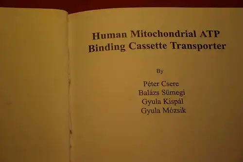 P. Csere; B.  Sümegi; Gy. Kispál; Gy. Mózsik: Human Mitochondrial ATP Binding Cassette Transporter. 