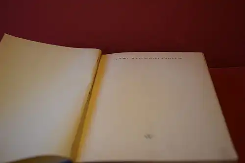 Louis de Wohl: Die Erde liegt hinter uns. Roman. 