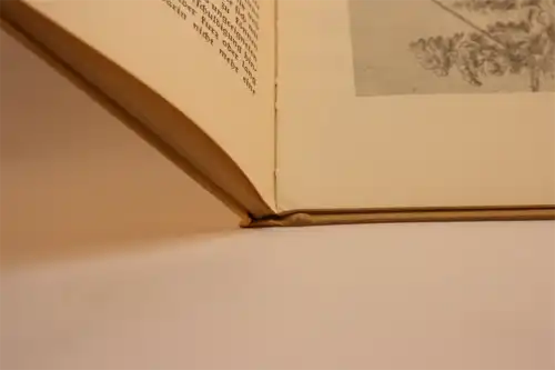 Adolf Korzendorfer: Von Postreutern und Postillionen. [Meyers bunte Bändchen, Bd. 30]. 