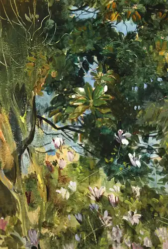 Alexander Frenz (1861-1941), Pflanzenimpression in Locarno, 1895